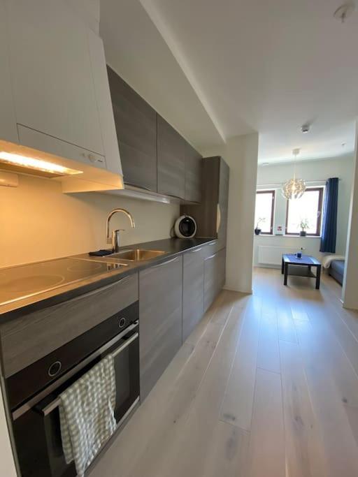 Moderne Leilighet Midt I Sentrum Av Fredrikstad Exterior foto